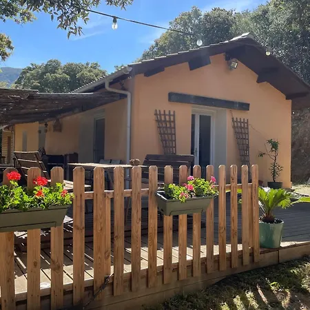 Jolie Maison Familiale Au Coeur Des Vignes Ferienhaus